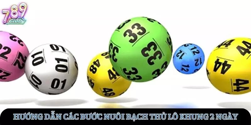 Hướng dẫn chi tiết các bước nuôi thủ lô khung 2 ngày