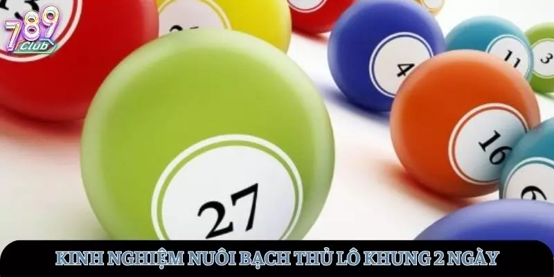 Kinh nghiệm nuôi bạch thủ lô từ các chuyên gia