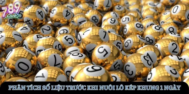 Người chơi cần phân tích số liệu trước khi chọn cầu lô kép