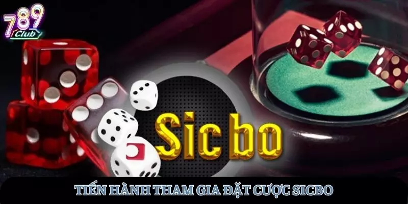 Tiến hành tham gia đặt cược trò chơi