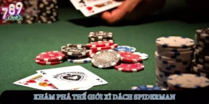 xi-dach-spiderman-avt