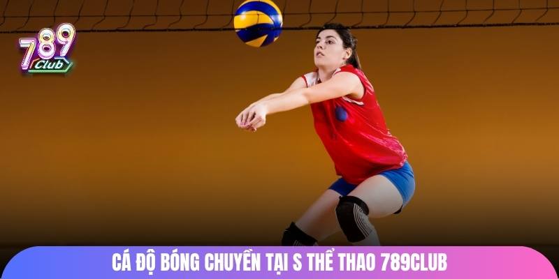 Cá độ bóng chuyền tại S thể thao 789club