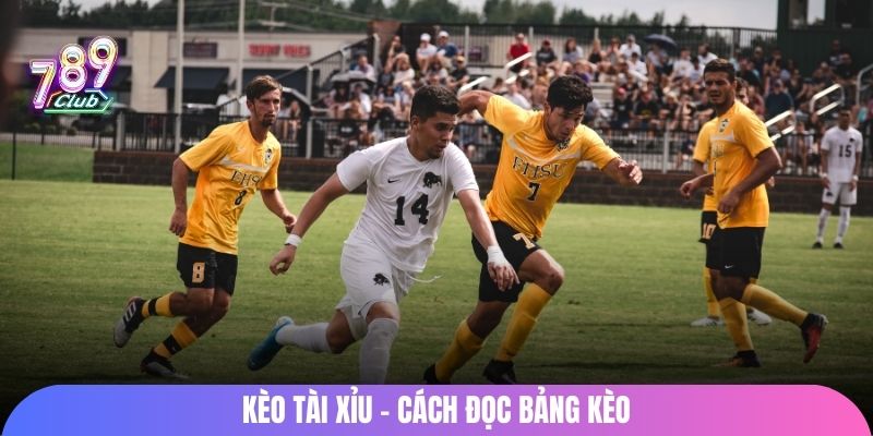 Kèo tài xỉu - cách đọc bảng kèo