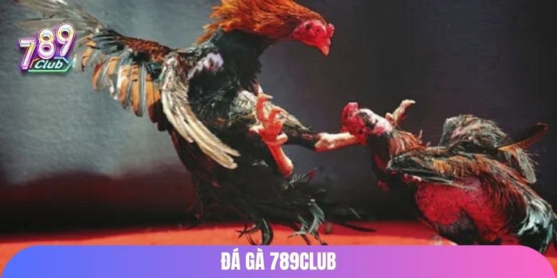 da-ga-789club