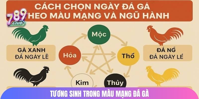 Tương sinh trong màu mạng đá gà